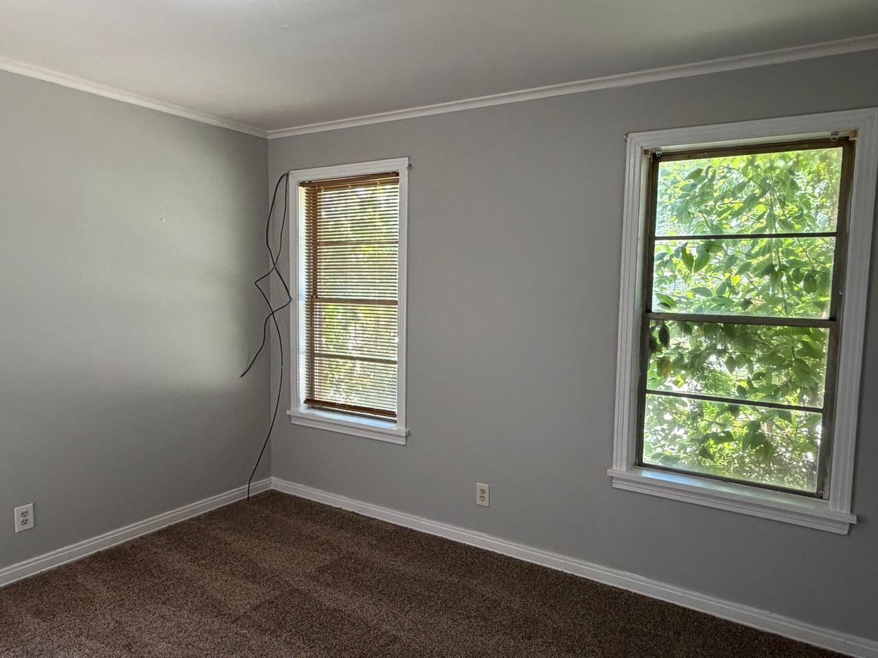 855 Rutherford St - Photo 5 of 10