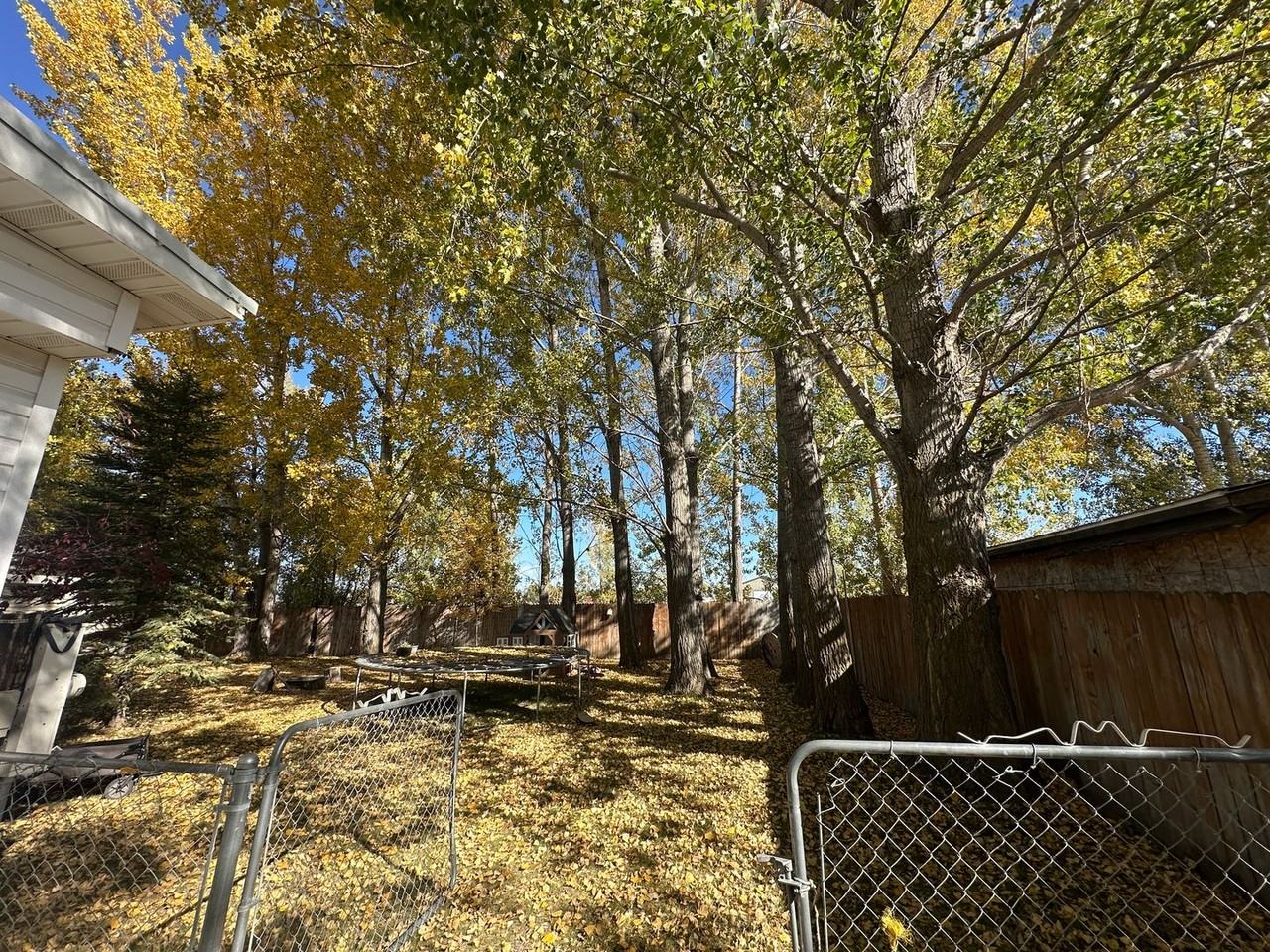 1126 N 4458 W - Photo 3 of 10