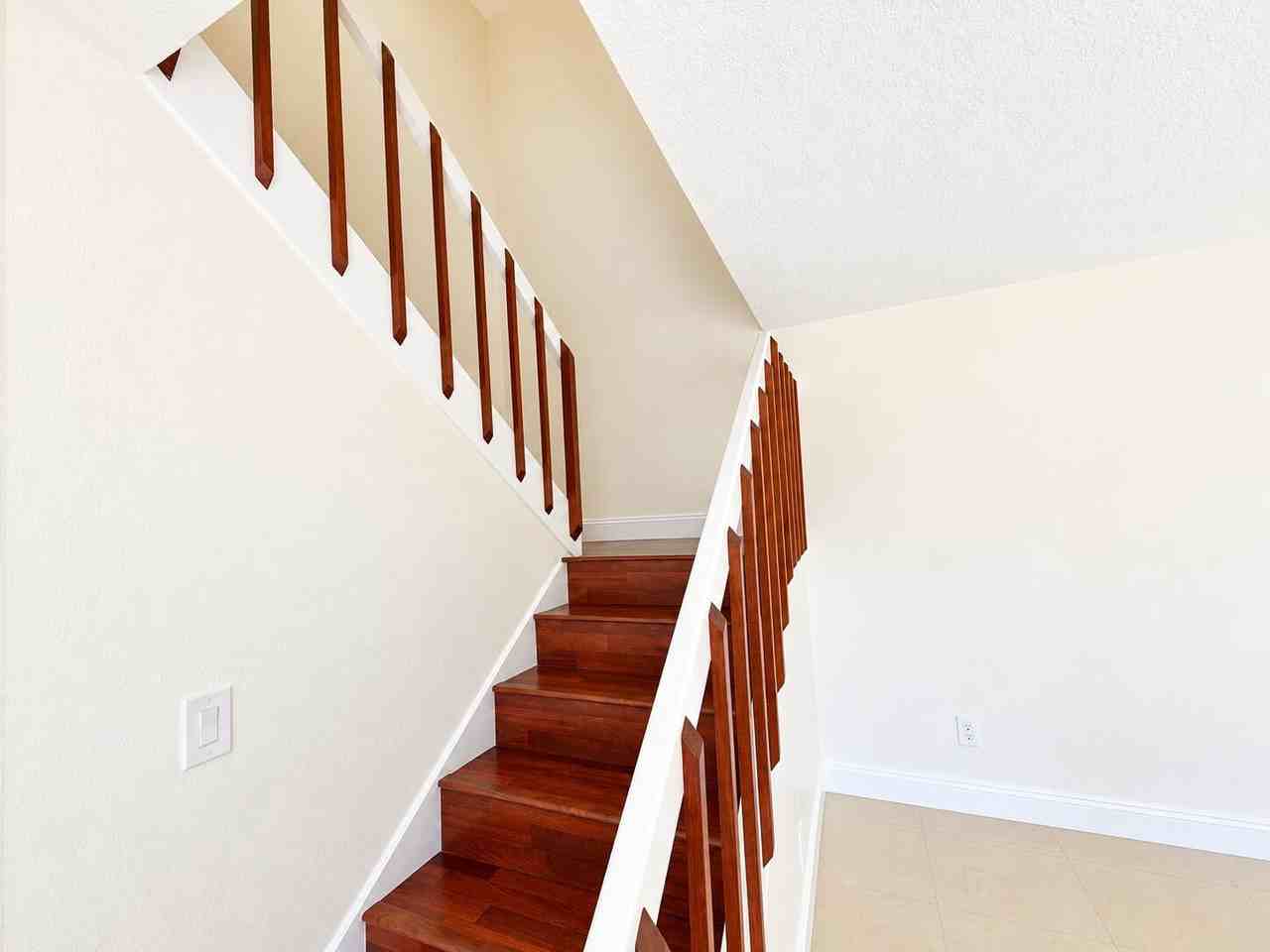 804 Springdale Cir - Photo 6 of 20