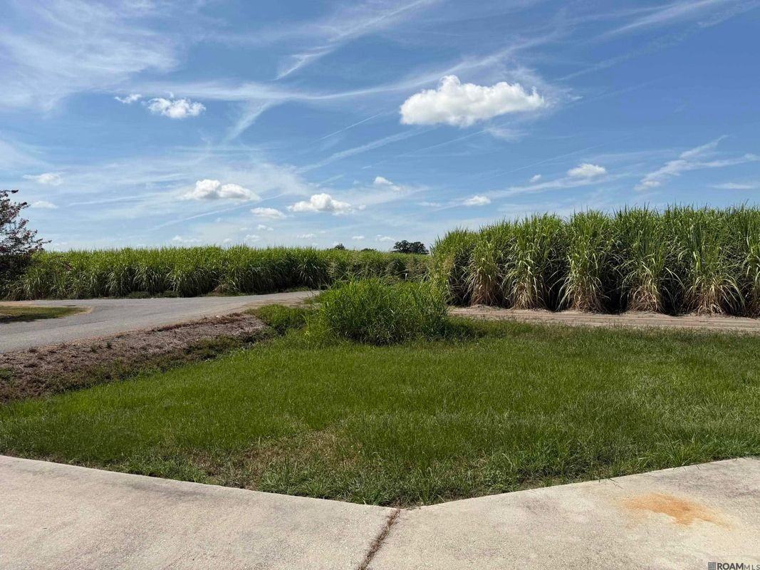 2308 Sagona Rd - Photo 5 of 13