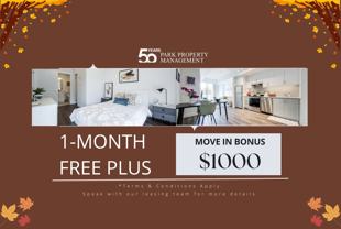 383 Albert Street - Photo 1 of 1