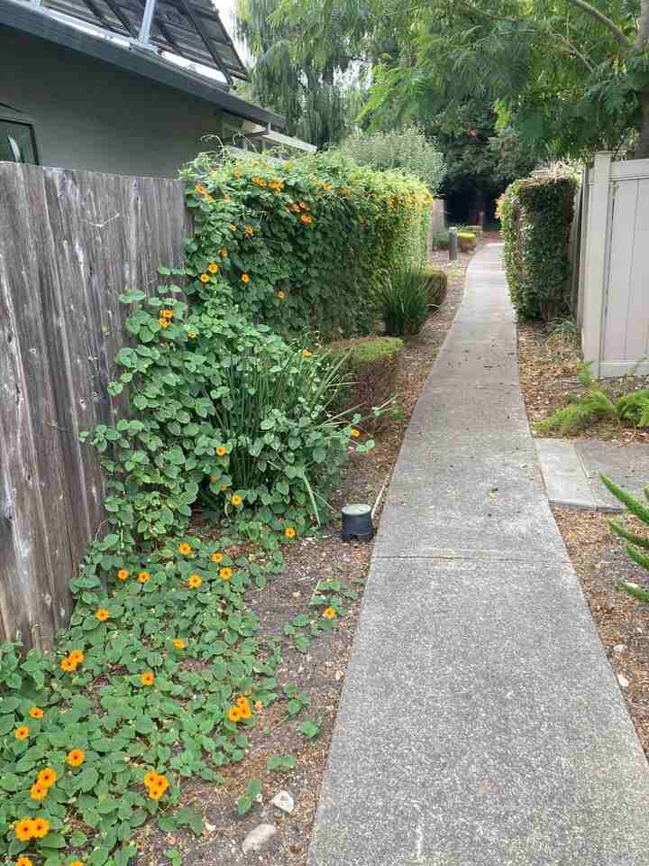 1065 Copeland Creek Dr - Photo 3 of 25