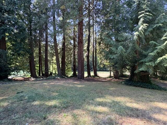 2104 Gravelly Beach Loop Nw - Photo 3 of 15