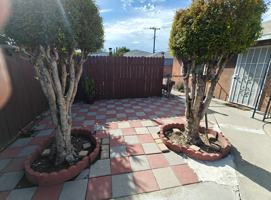 featured image of 1153 E 71st St #NA