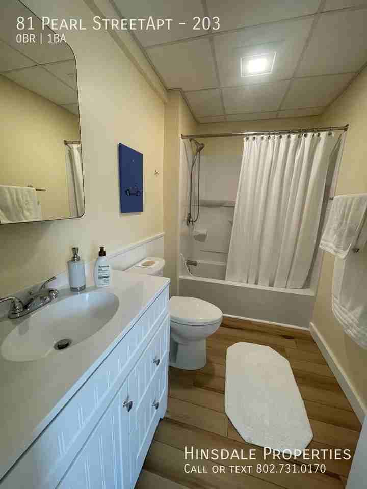 81 Pearl St #203 - Photo 5 of 11