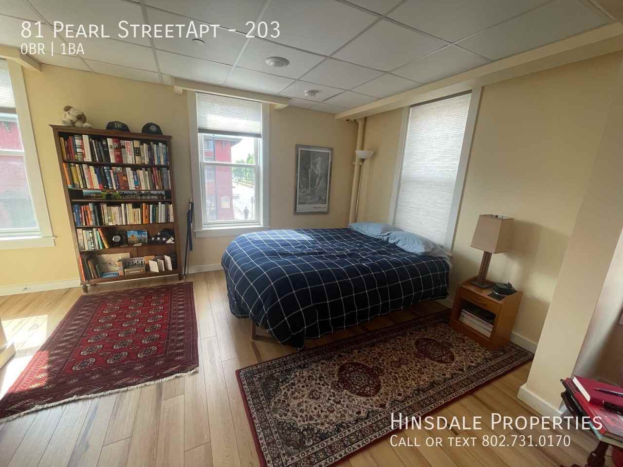 81 Pearl St #203 - Photo 7 of 11