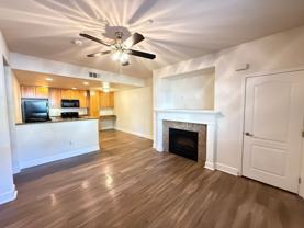 The Phoenician Collection - Photo 1 of 1