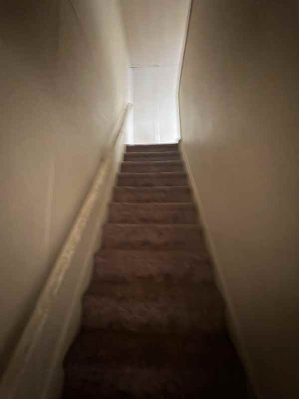 238 E King St #2 - Photo 6 of 14