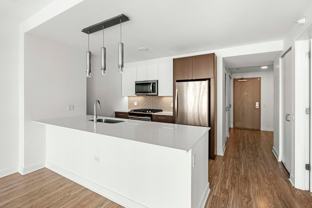 1320 S Michigan Ave #3412 - Photo 1 of 1
