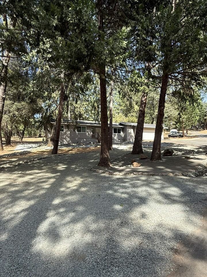 2485 Woodhouse Mine Road - Photo 3 of 20