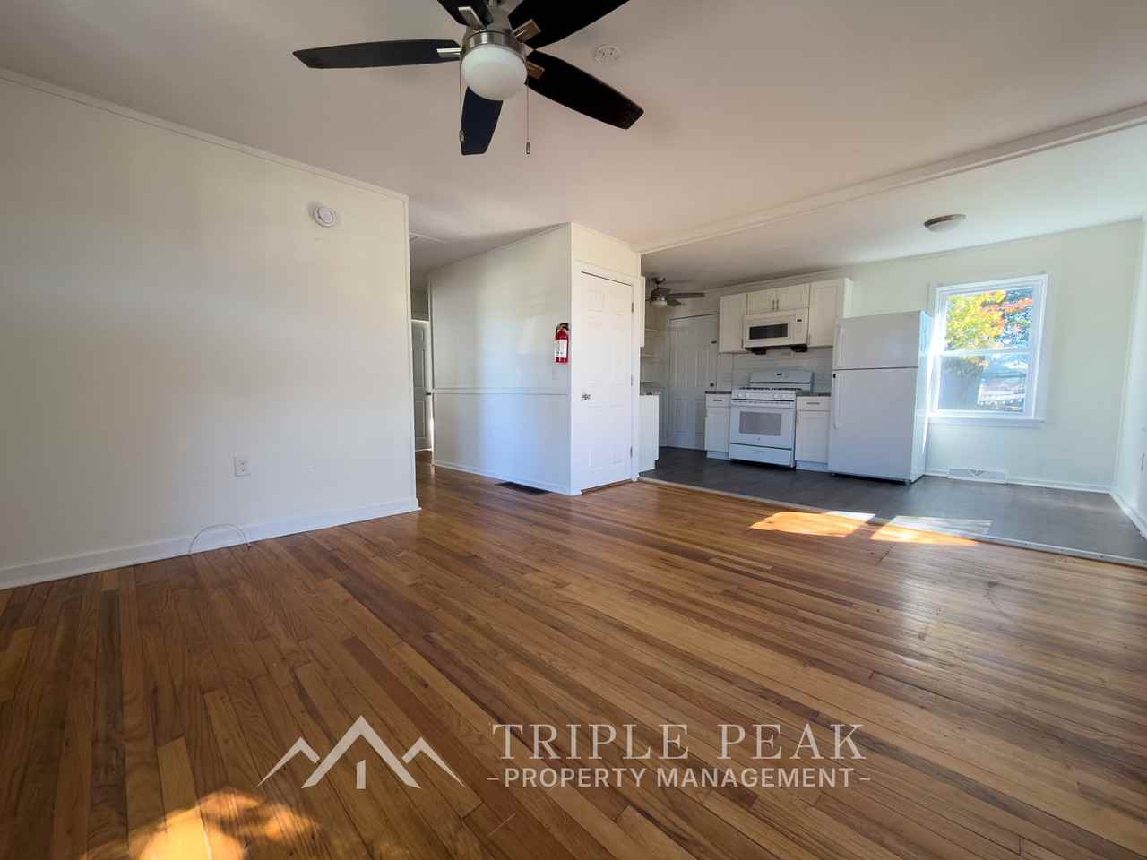 1013 School Ln #1 - Photo 4 of 13