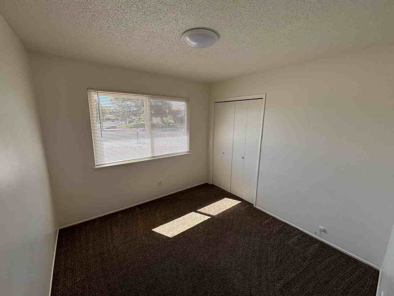 4692 Cherry Ave - Photo 6 of 12