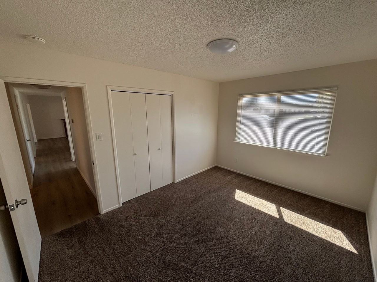 4692 Cherry Ave - Photo 7 of 12