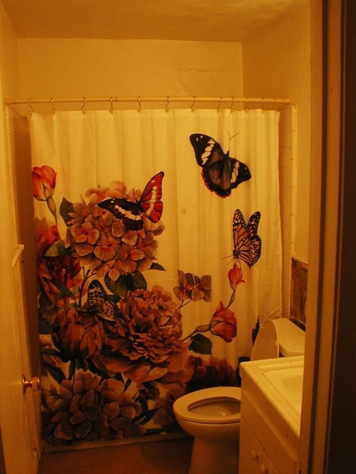 4510 E Thomas Ave - Photo 7 of 7