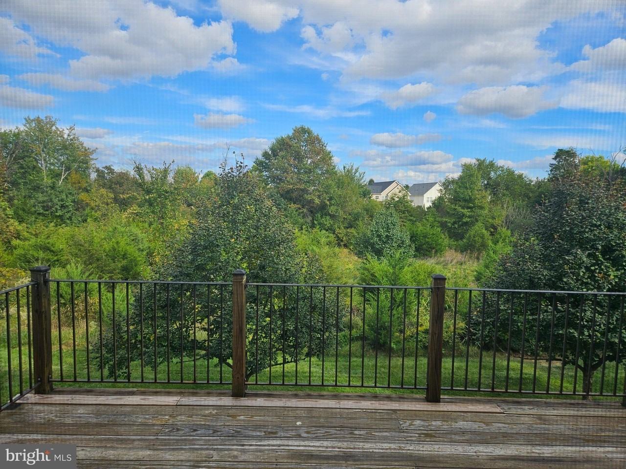 23380 Evening Primrose Sq - Photo 6 of 6