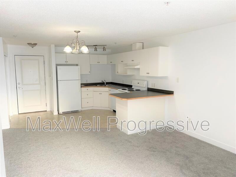 11325 83 St Nw #230 - Photo 7 of 19