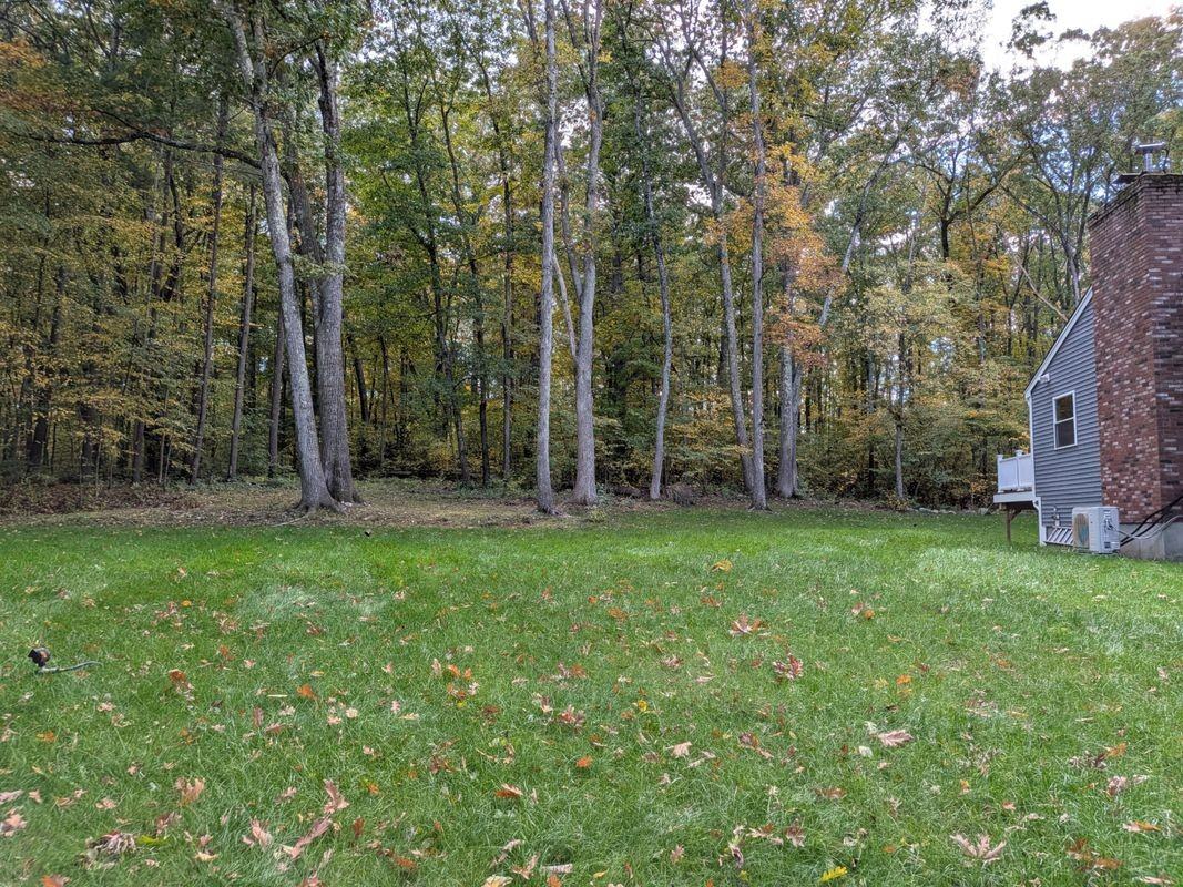 129 Forrest St - Photo 4 of 4