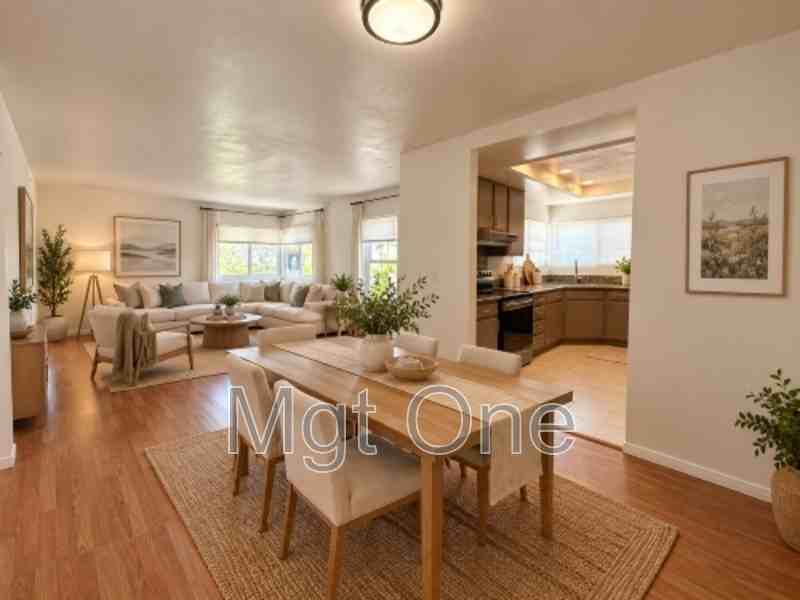 61 Tarocco - Photo 5 of 15