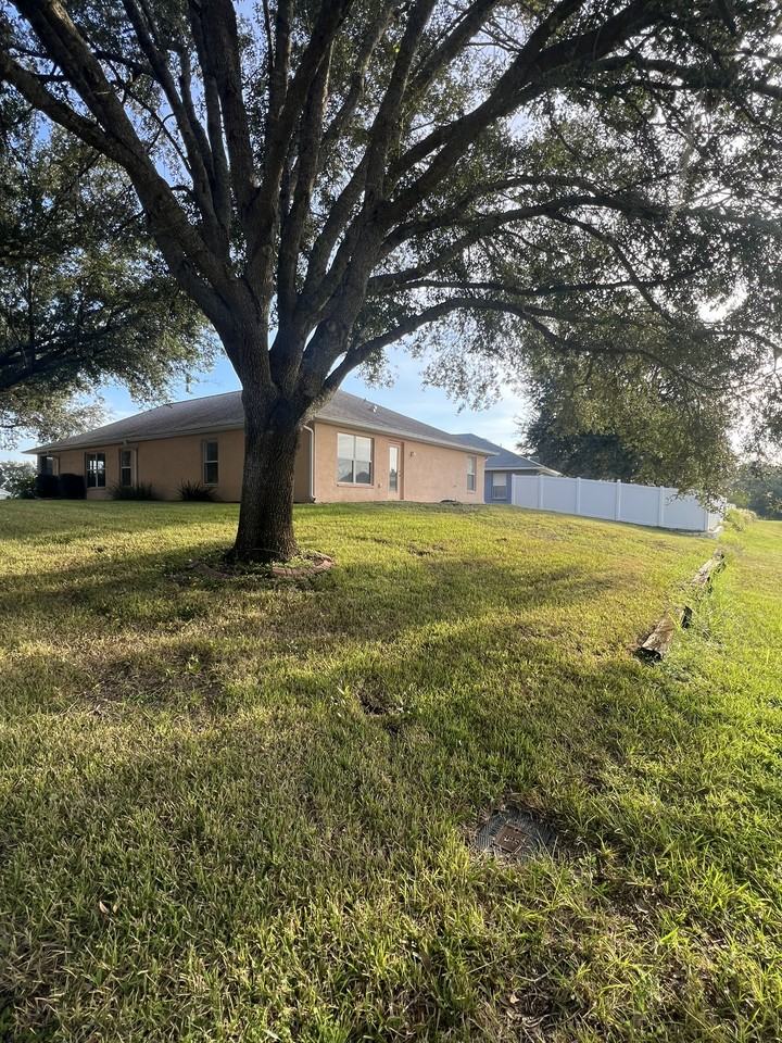 7228 Crested Orchid Dr - Photo 3 of 20