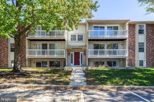 featured image of 146 Kenwood Dr