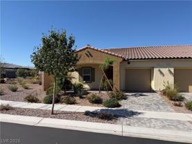 1181 Desert Lark St - Photo 1 of 1