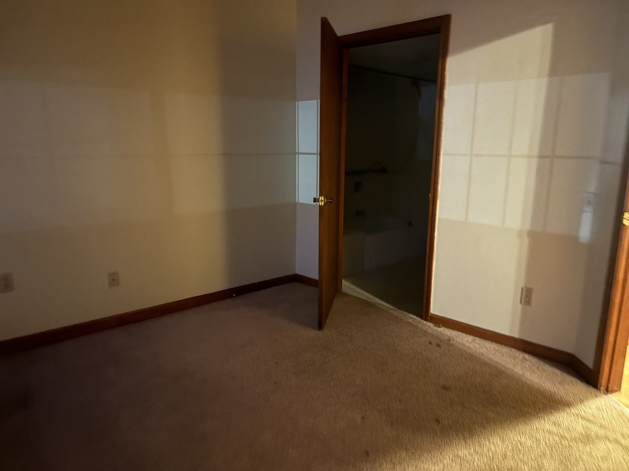 100 Bemis Rd #204 - Photo 3 of 12