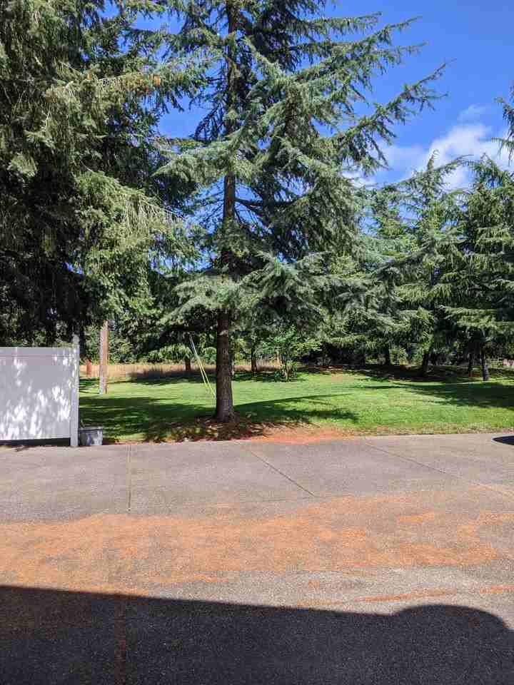 2292 Palisade Blvd - Photo 6 of 34