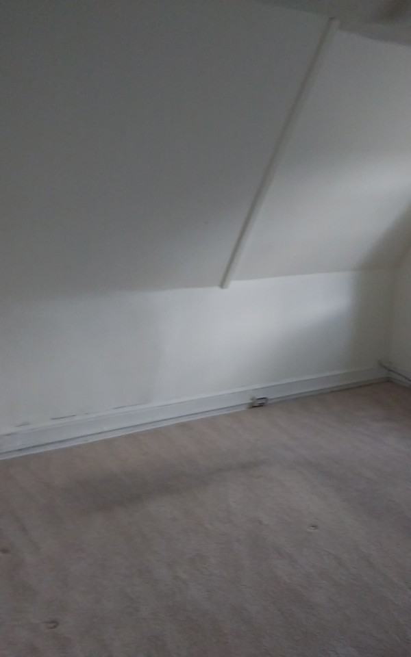 523 Oley St - Photo 3 of 11