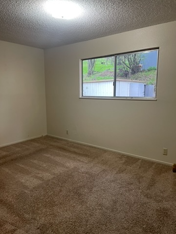 312 S Amador St - Photo 7 of 11