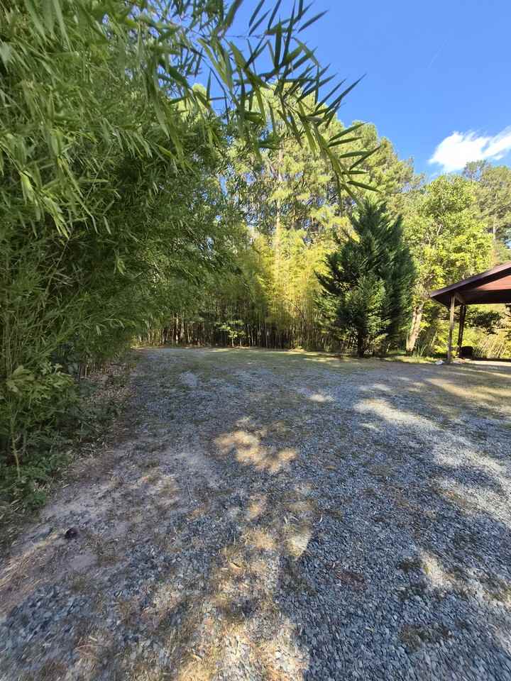 244 Deerfield Rd #NA - Photo 6 of 18