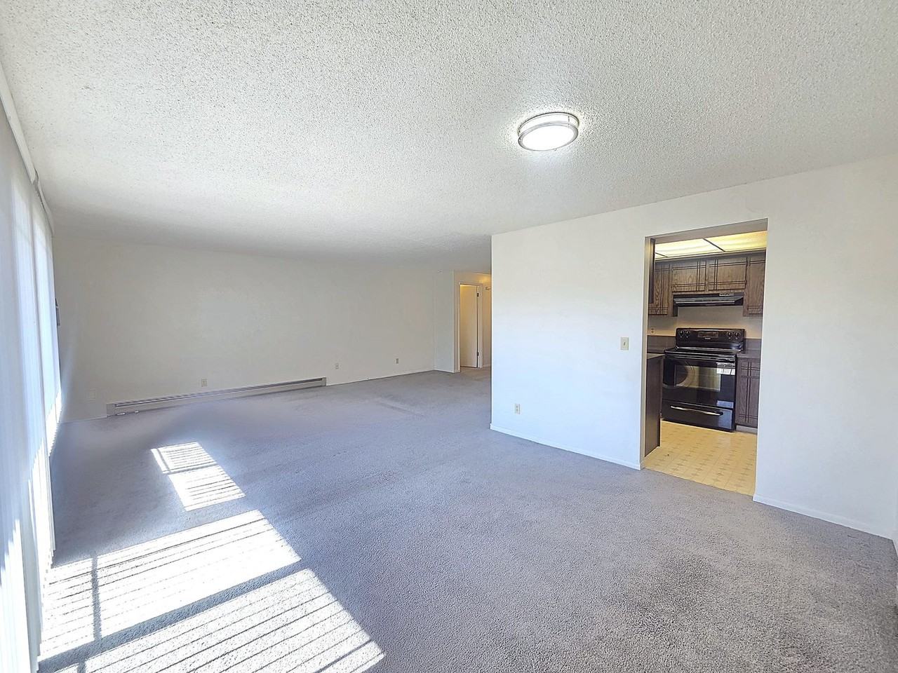 309 E 14th Ave - Photo 4 of 40