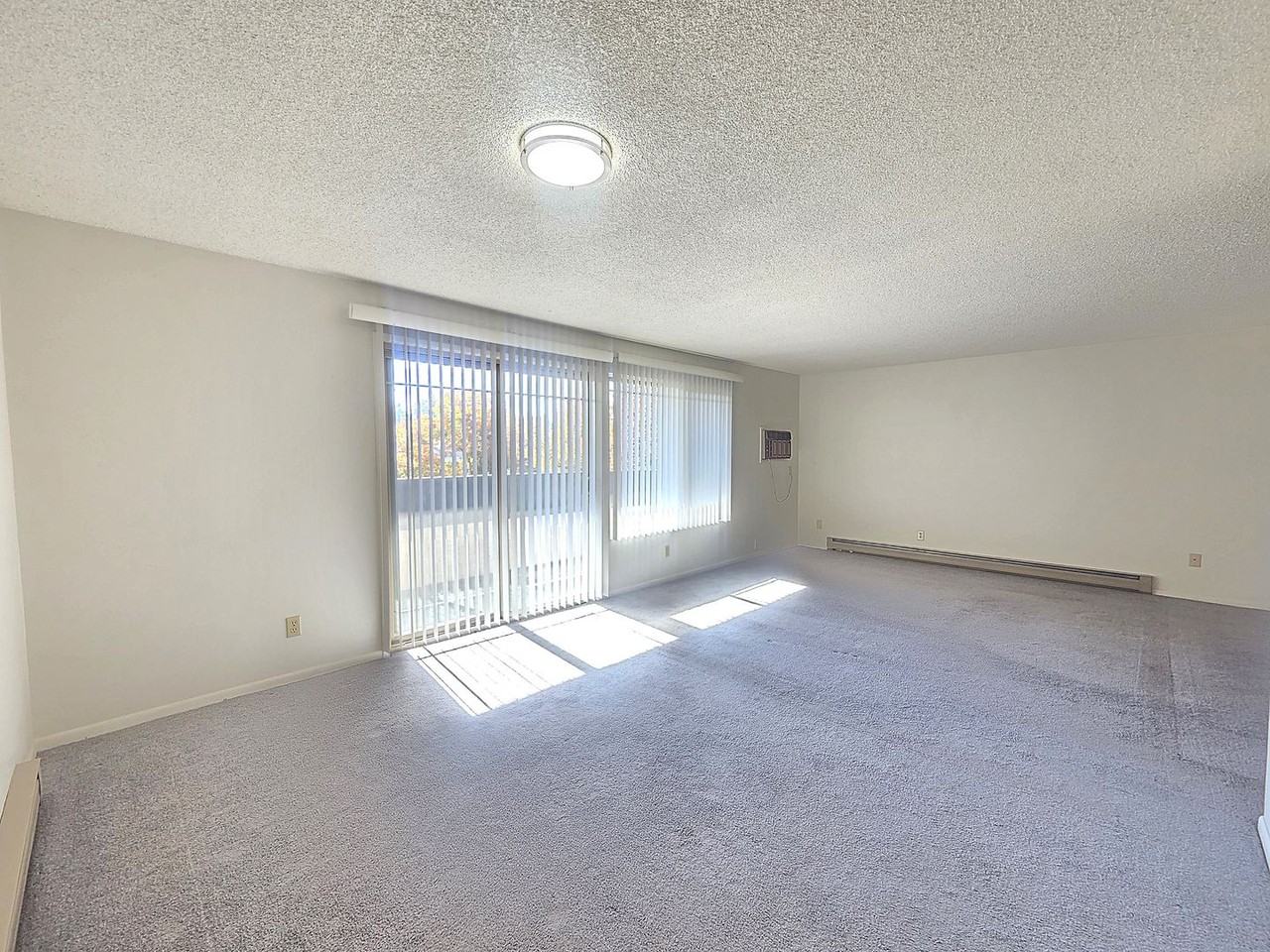 309 E 14th Ave - Photo 5 of 40