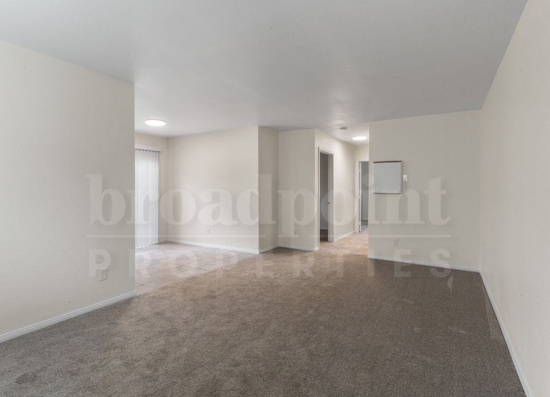 339 West 15th Avenue - Photo 4 of 20
