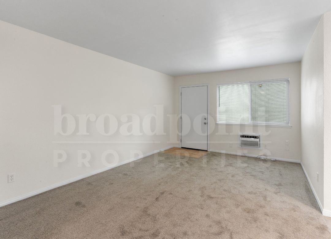 339 West 15th Avenue - Photo 5 of 20