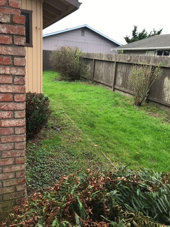 3110 Alice Ave - Photo 4 of 17