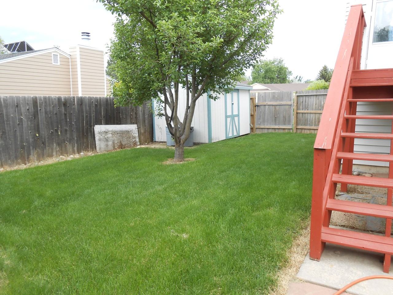 903 Banyan Ct - Photo 4 of 14