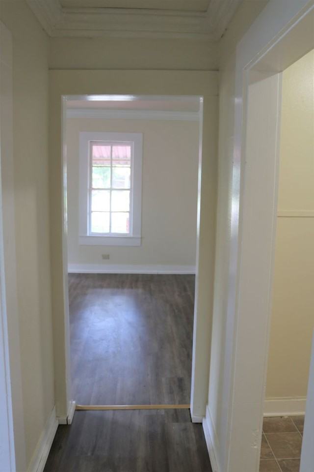 2460 Drexel St - Photo 7 of 17