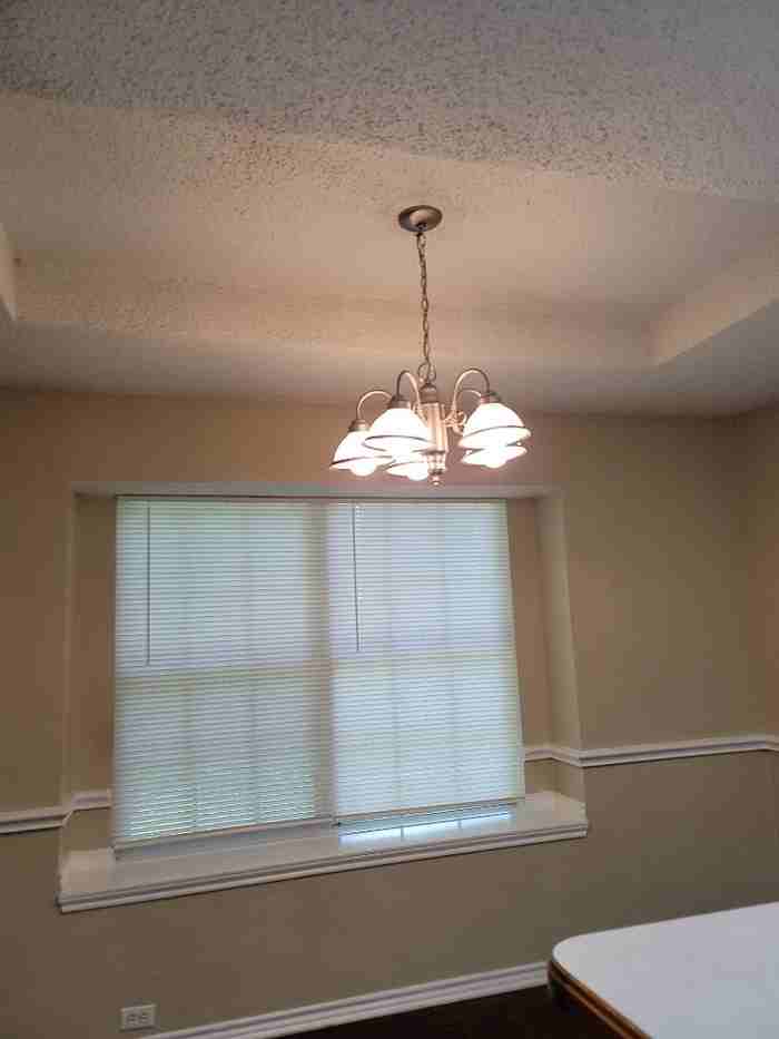 512 Bowie St - Photo 7 of 18