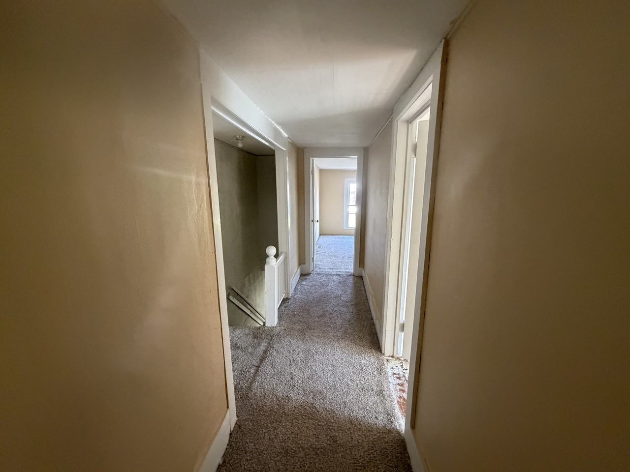 207 Scott St #101 - Photo 4 of 13