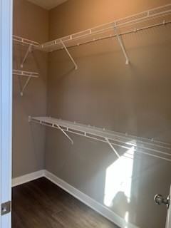 2110 Skaggs Ct #1 - Photo 5 of 10