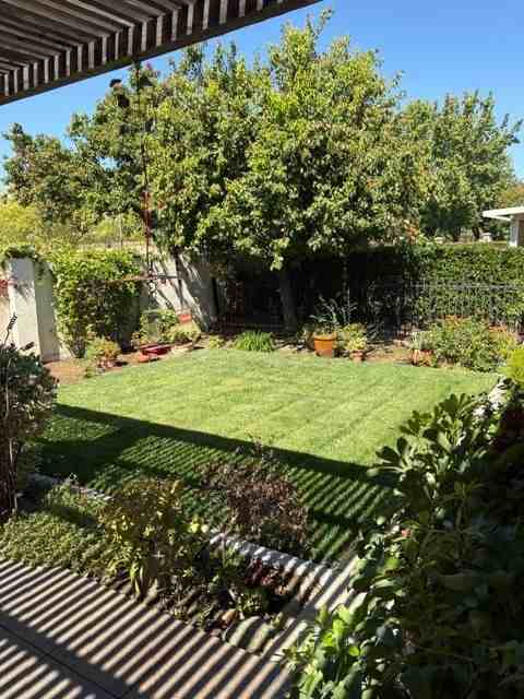 715 Stewart Way - Photo 4 of 11