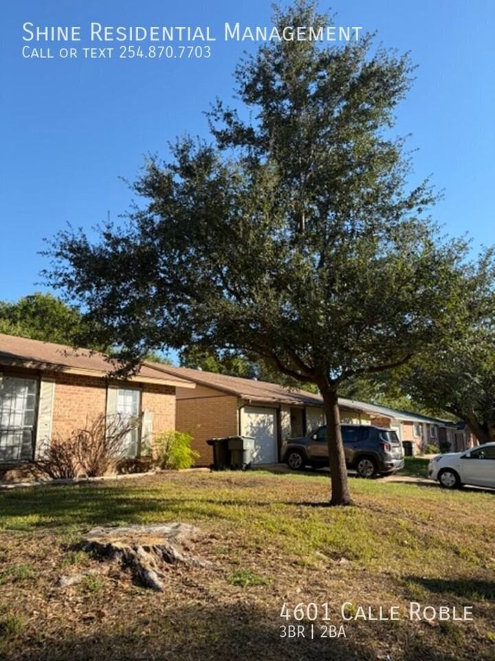 4601 Calle Roble - Photo 2 of 17