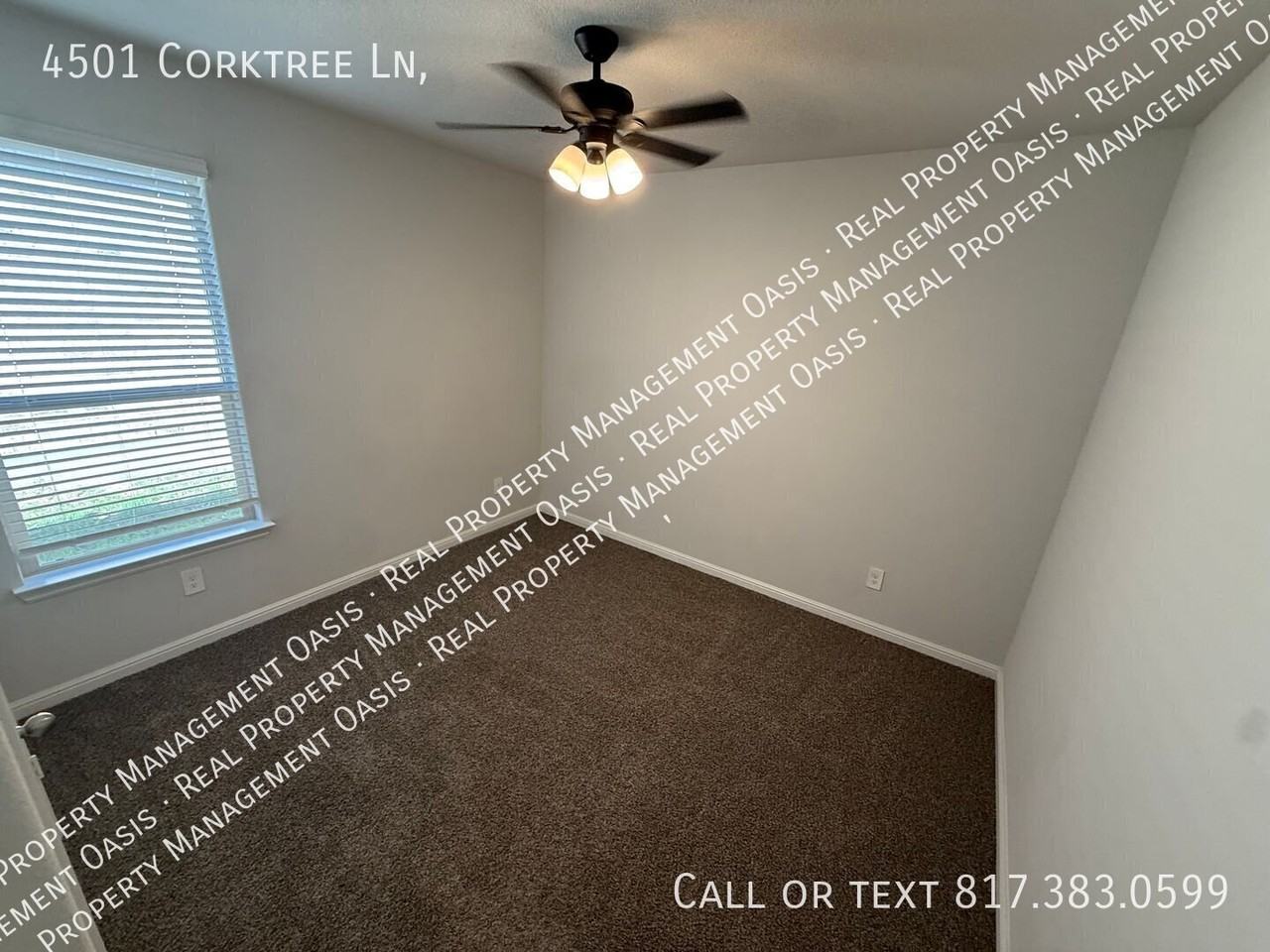 4501 Corktree Ln - Photo 4 of 22