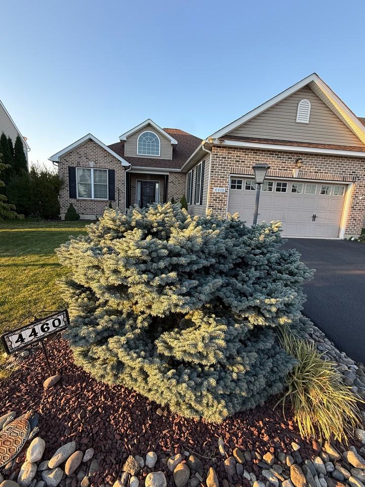 4460 Whitetail Dr - Photo 2 of 18