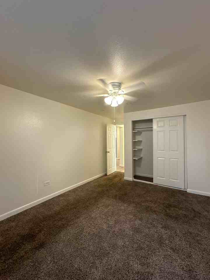 Fitz Apartments - Photo 7 of 20