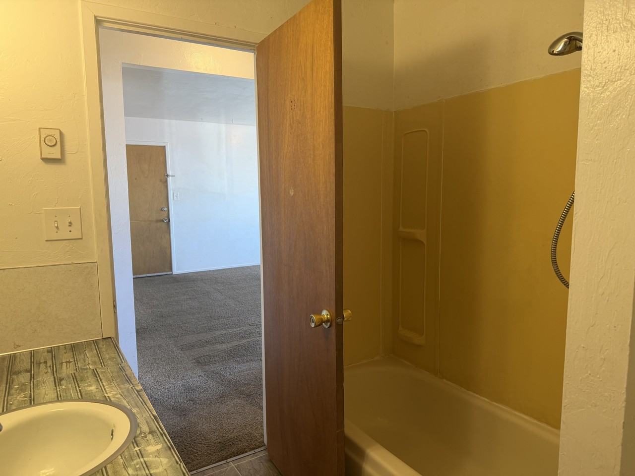 310 Moonlite Drive - Photo 6 of 9