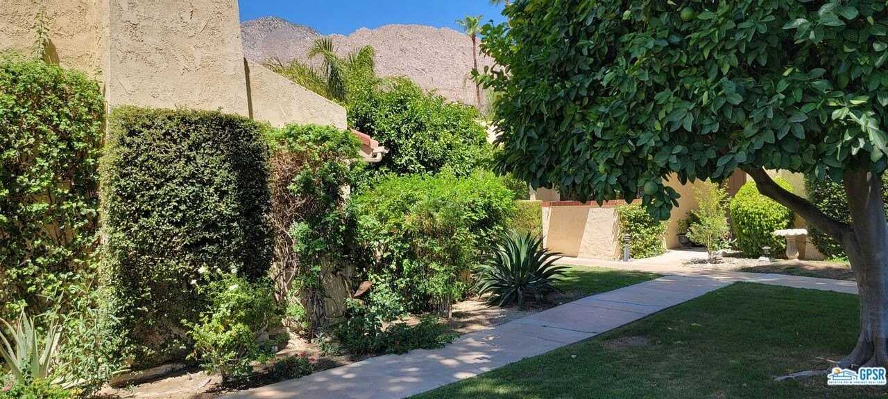 2600 S Palm Canyon Dr #20 - Photo 5 of 20