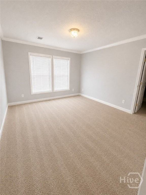 4 Lanvale St - Photo 7 of 14