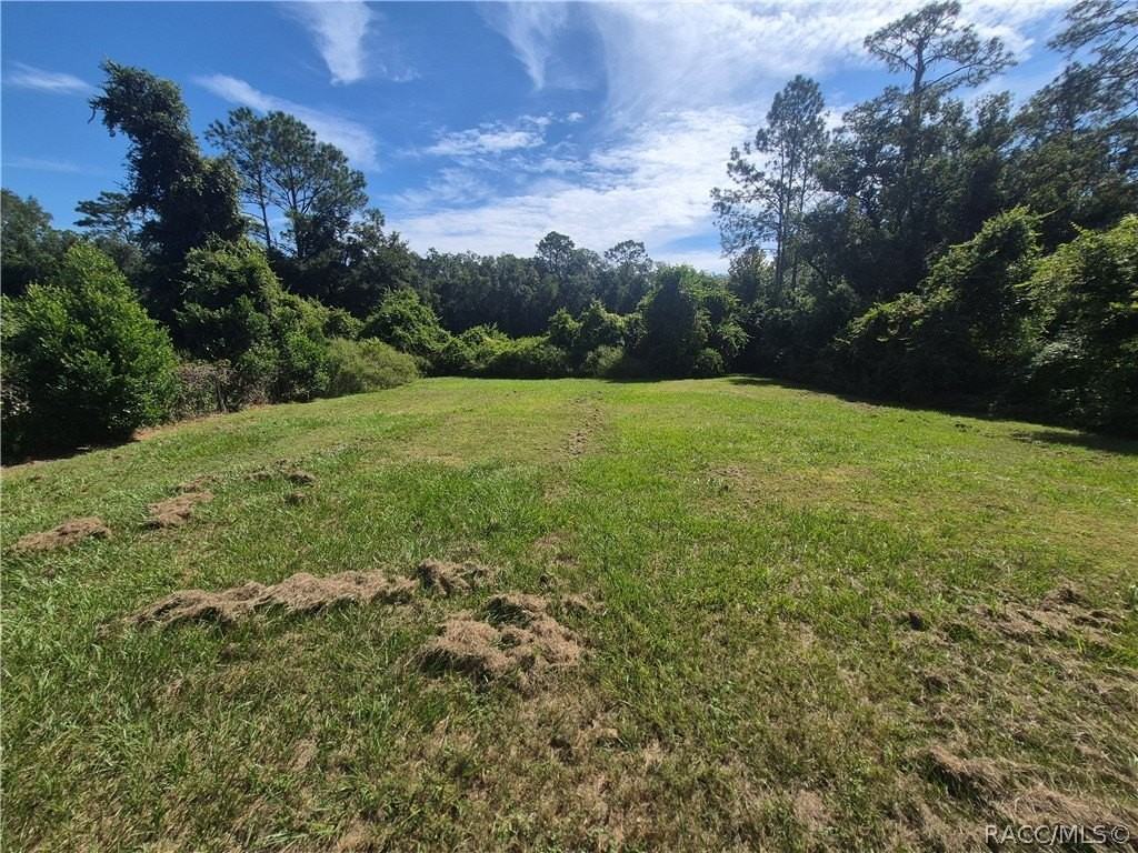 4333 S Rainbow Dr - Photo 3 of 24