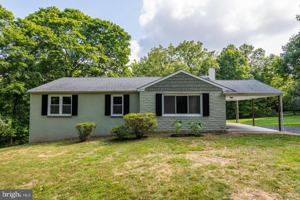 featured image of 973 CHERRY Lane